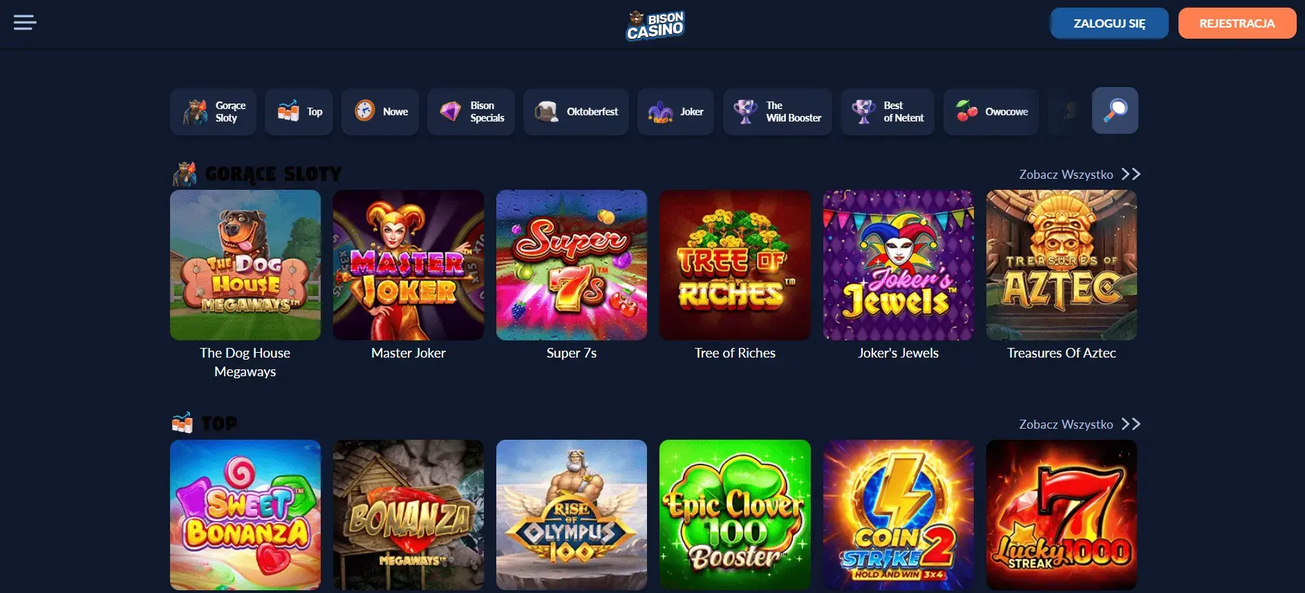 Bison Casino - miejsce na zdjęcie